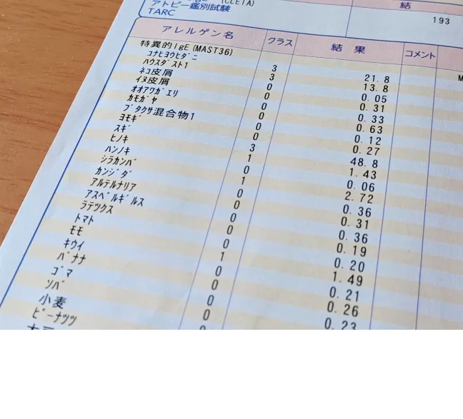 アレルギー検査
